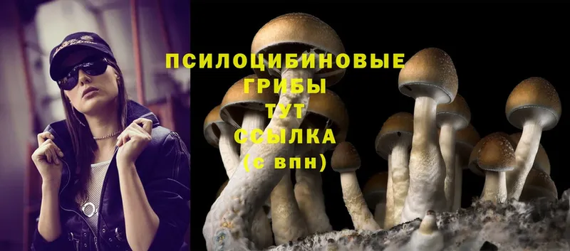 Псилоцибиновые грибы MAGIC MUSHROOMS  Минеральные Воды 